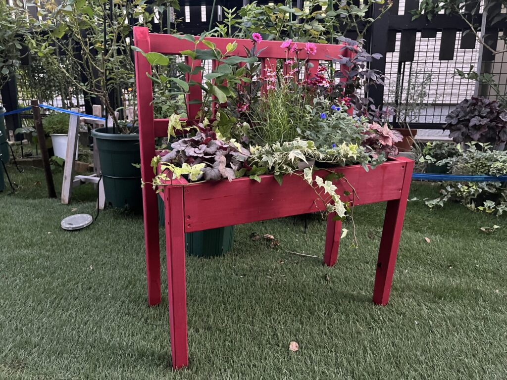庭の芝生に置いた赤いベンチ型フラワースタンドに草花を飾っている